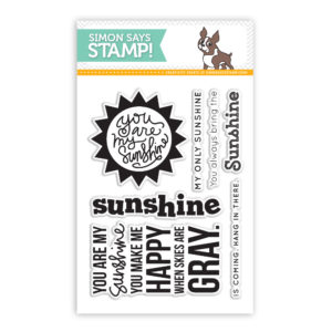 Simon Says Stamp Bring on the Sunshine Stamp Set