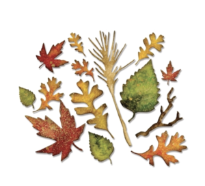 Tim Holtz/Sizzix Fall Foliage Thinlits Dies