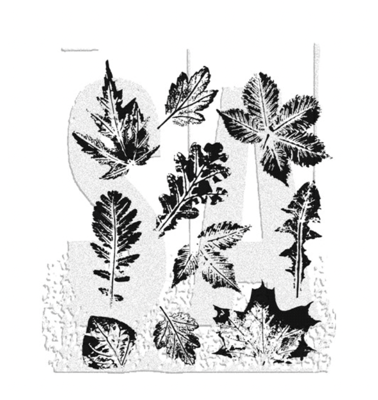 Tim Holtz/Stampers Anonymous: Leaf Prints