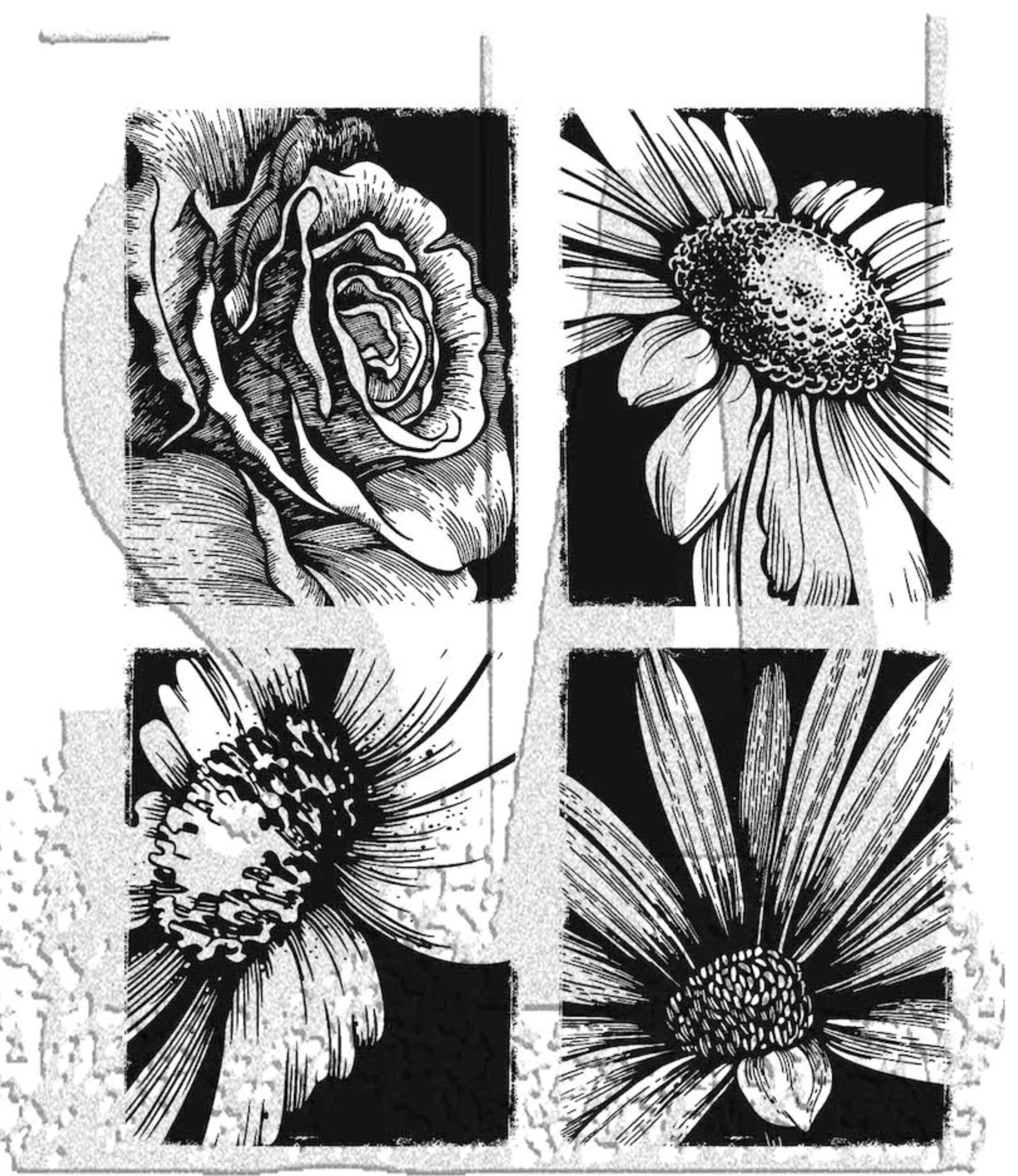 Tim Holtz/Stampers Anonymous: Bold Botanicals