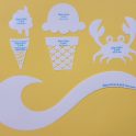 Sun-n-Fun – Kiwi Lane Class - Image 7